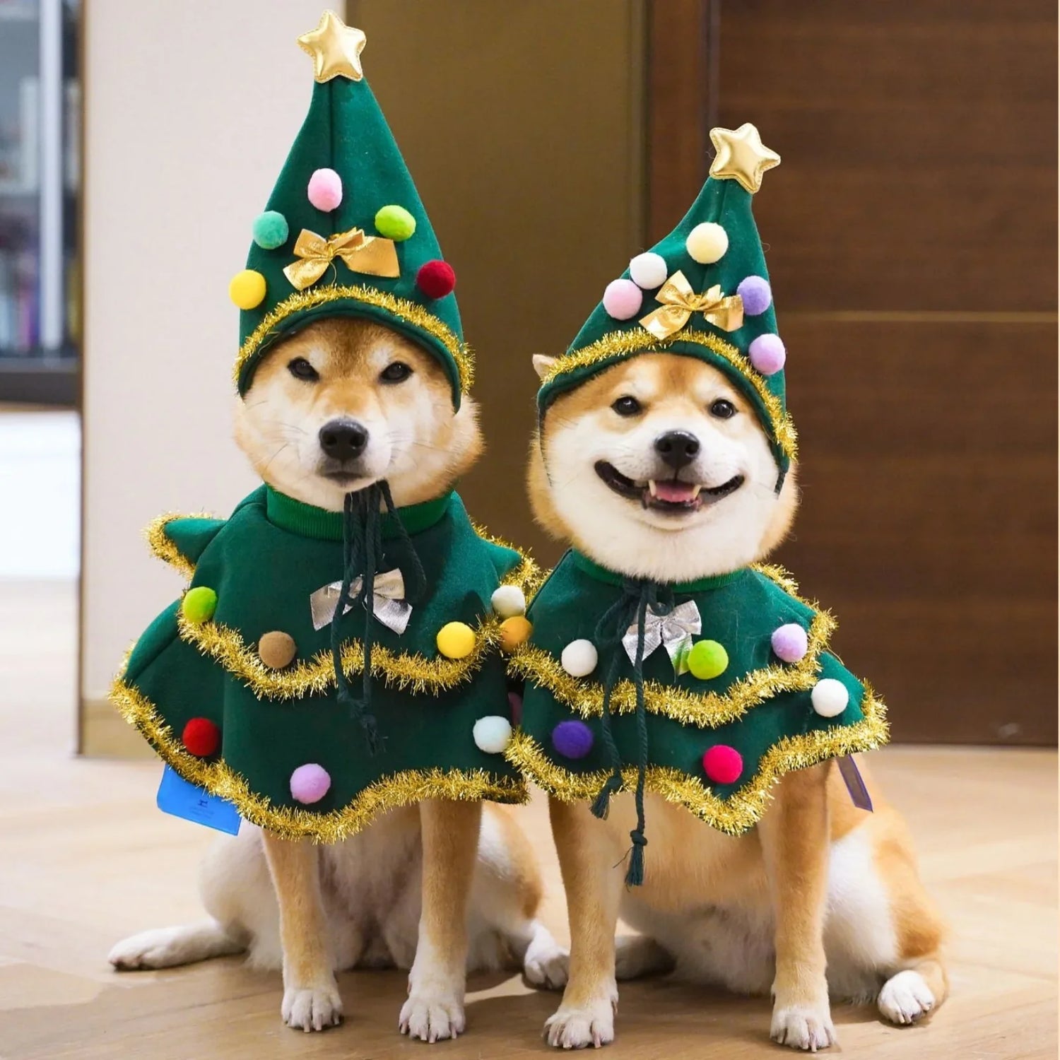 Pet Costumes